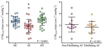 Cerebrovascular Dysfunction in Atrial Fibrillation